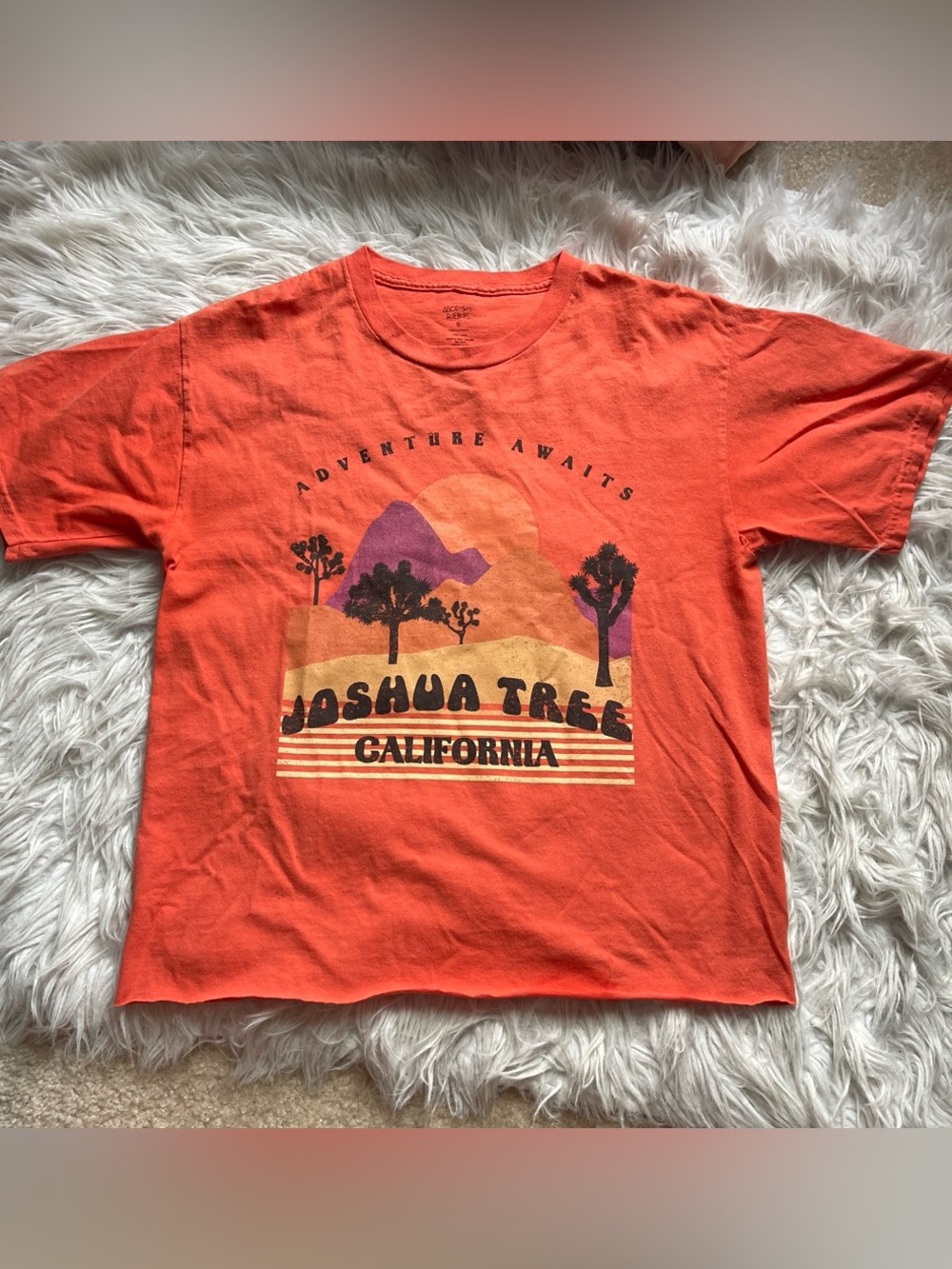 Modish Rebal Joshua tree t-shirt.